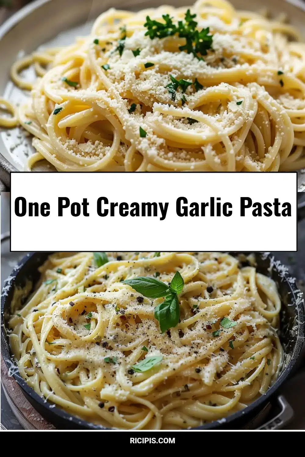 One Pot Creamy Garlic Pasta