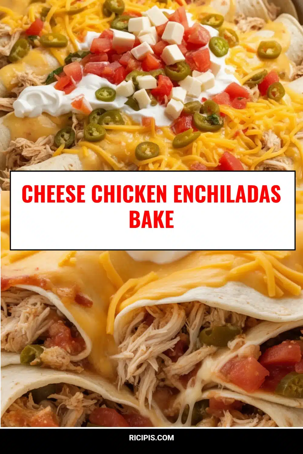 Cheese Chicken Enchiladas Bake