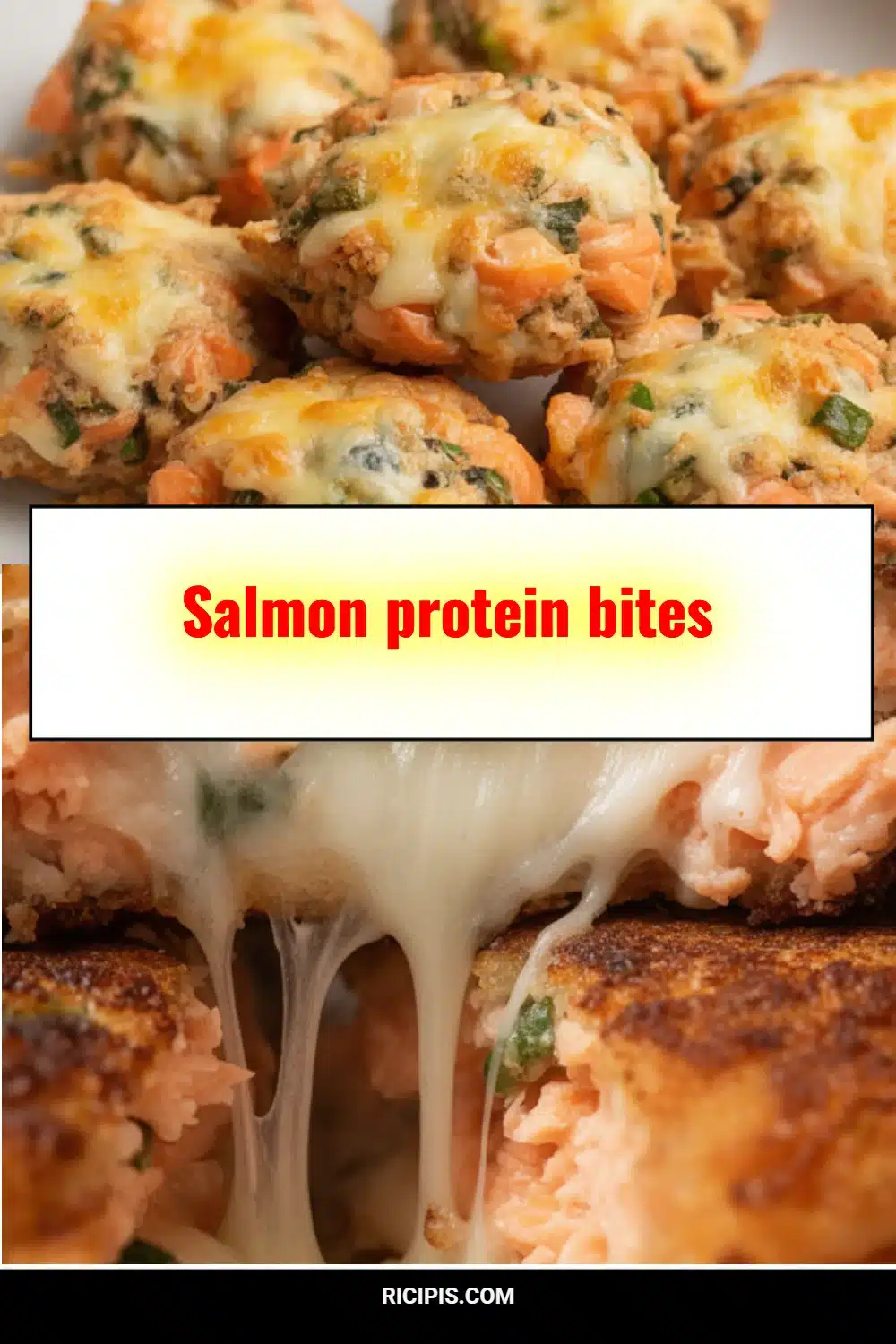 Salmon protein bites
