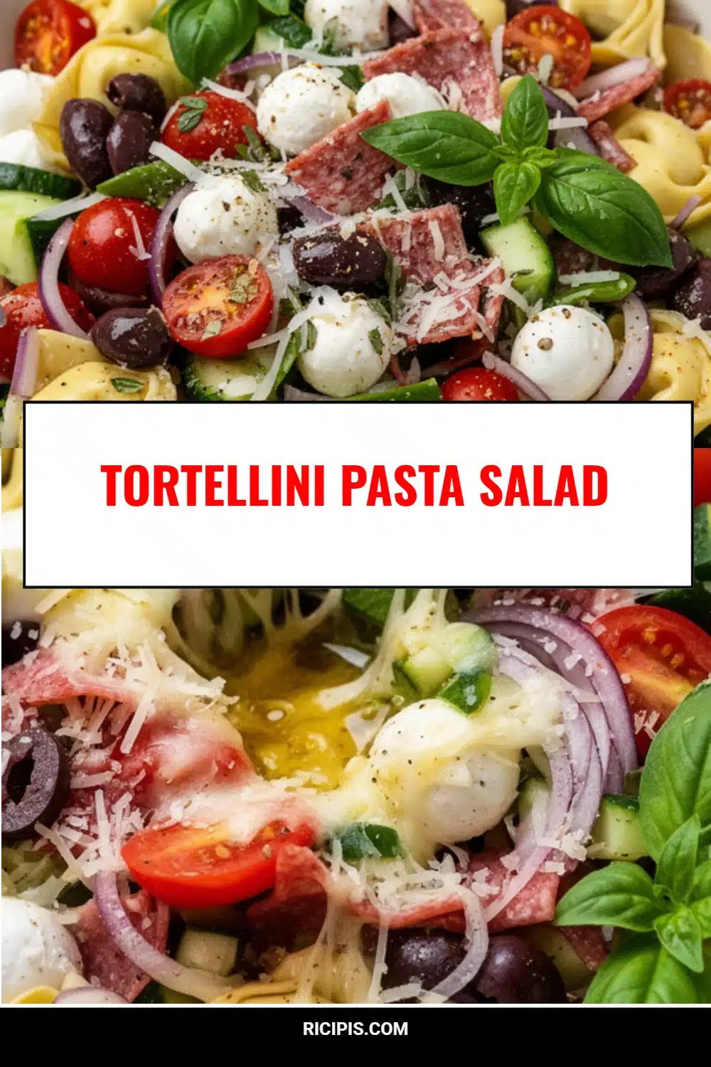 Tortellini Pasta Salad